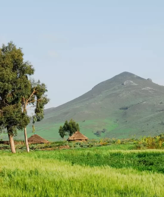 12 Days Ethiopia Adventure Tour Taitu Tour And Safari