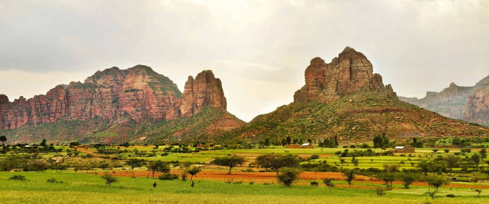 Ethiopia Tour Operators Your Gateway to Adventure